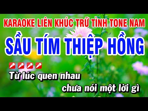 Karaoke Liên Khúc Trữ Tình Tone Nam Nhạc Sống Dễ Hát - Sầu Tím Thiệp Hồng | Hoài Phong Organ