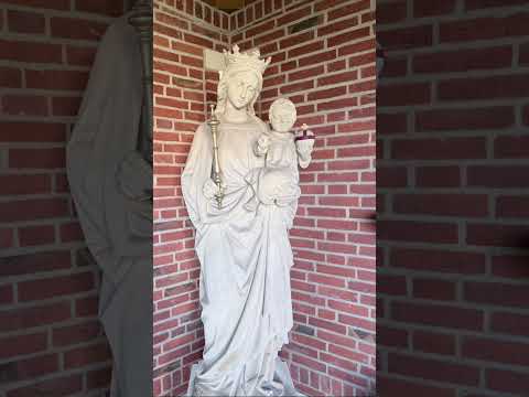 55 miles. Met a friendly doggo. #wanderbeast #travel #adventure #journey #bikepacking