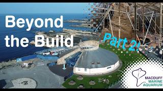 Building Progress Pt.2 - Beyond the Build Vlogs