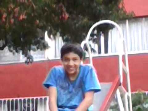 El perro en la resbaladilla