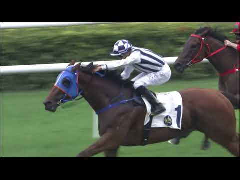 21/11/2021 (187) Seasons Bliss - Vincent Ho