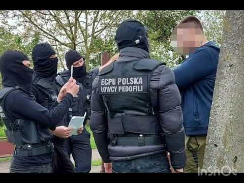 Pedro x Rafo -Bez Litości  (REPLOAUD)