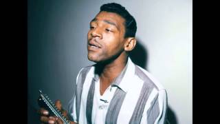 Baby please don&#39;t go - Little Walter