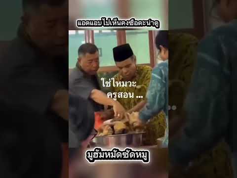 เรื่องหมูๆๆ 🤣🤣🤣 #tiktok #reels #reel #fyp #facebook #fypシ #thailand #คนใต้ #คนไทย #คนไทยในต่างแดน