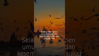 Download lagu Story wa kata kata bijak || kata kata motivasi hidup || kata kata mutiara islami singkat || mp3 Download lagu Story wa kata kata bijak || kata kata motivasi hidup || kata kata mutiara islami singkat || mp3