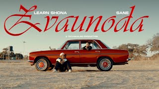 Download lagu Learn Shona & Sane Wav - Zvaunoda ( Lyric  Video) #sanewav #zvaunoda mp3