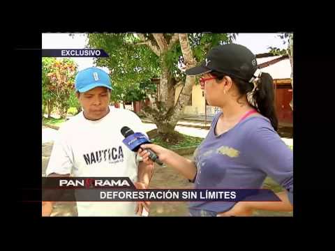 Communicate the impacts of deforestation in Peru