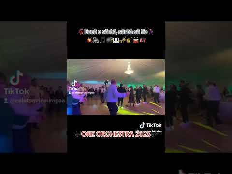 Formația One Orchestra-Dacă e sârbă,sârbă să fie