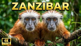 OS ÚLTIMOS ANIMAIS DE ZANZIBAR | Sobreviventes de uma Ilha Misteriosa - Documentário