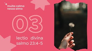 vale de sombras com cálice transbordante (salmo 23:4-5) | muita calma nessa alma - lectio divina