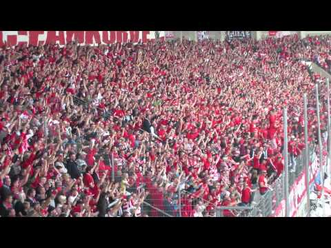 Affen vom Zoo - Hallescher FC  Tor zum 0-1