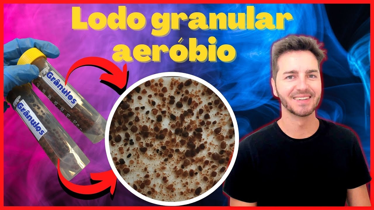 Reator de grânulos aeróbio