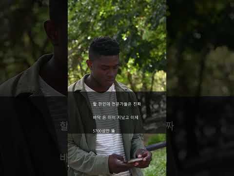 올해 폭등장 오기 전 필수 행동 🚨