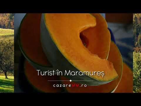 Cazare Mare Pensiuni, Cazare Viseul De Sus, Hotel Montana Viseu Contact