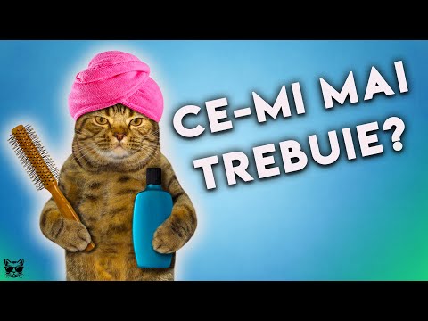 Pentru a cumpăra pahare pentru vederea pisicii