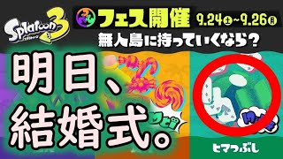 フェスどころじゃない夫婦【スプラトゥーン3】