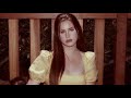 Dealer - Lana Del Rey // 1 hour version