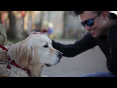 Omar Naber - Poseben dan (2016)