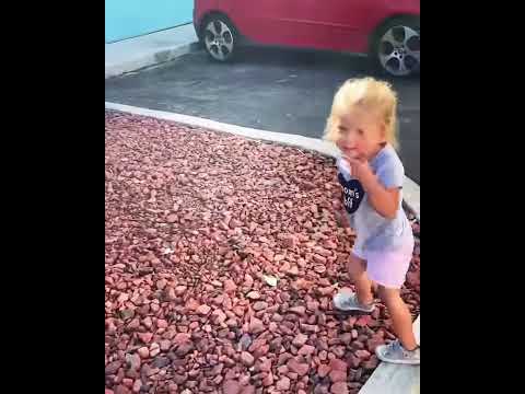 download lagu mp3 mp4 Junk Removal Delray Beach, download lagu Junk Removal Delray Beach gratis, unduh video klip Junk Removal Delray Beach