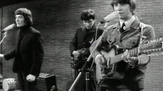 The Hollies - Look Through Any Window (1966)