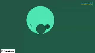 playing CIRCLOO 2 on cool math games