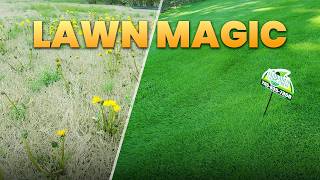Spring Lawn Tips for Zoysia Compared to Bermuda