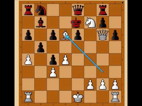 Prva partija meča u borbi za šahovsku titulu ☆ ALEKHINE vs BOGOLJUBOV # 1511