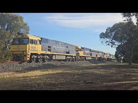 3PM6 PN up "Linfox Express #2" (NR29, 3x 94s), Perth to Melbourne, 1830, 5/12/25, Horsham VIC 