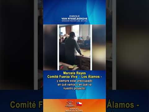 Gran Logro 🎯:  $95,520,524 para Construcción de Mosaicos en Muros de la comuna de #LosÁlamos 🇨🇱🌟