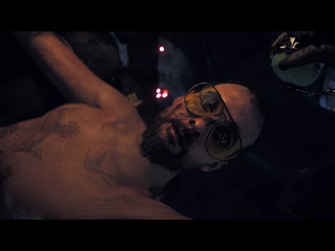 Far Cry 5: Buffalo or Bison?