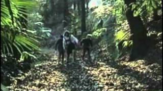 Giorgio e Piero - Il pene d&#39;ebano (Elio e le storie tese)