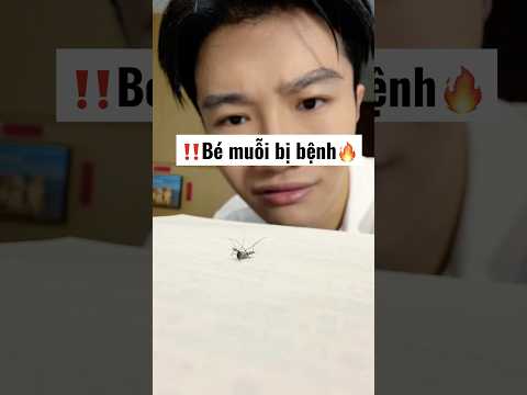 Anh thanh niên Dắt muỗi đi khám bệnh ở thú y và cái kết⁉️