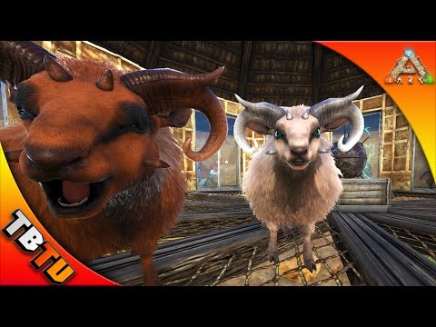 OVIS TAMING! NEW DINO PEN! ARK S+ SHEEP HERDER! ARK SCORCHED EARTH Gameplay - Ovis Breeding
