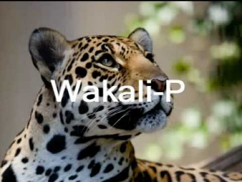 Usiskie coras by Wakali Power