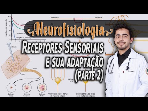 Fisiologia - Receptores Sensoriais e Circuitos Neuronais (Capítulo 47/46) PARTE 2/2│ GUYTON