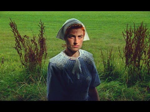 Elmer - haat (Prod. Steven Ivo)