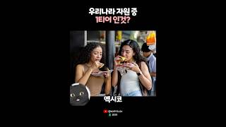 우리나라 자원중 1티어인 것?