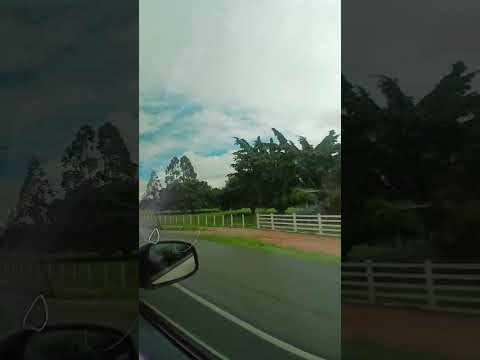 Engenho do queijo Junqueiro Alagoas #Passeio #Junqueiro #Alagoas #maisviews #motovlog