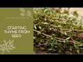 Starting Thyme From Seed