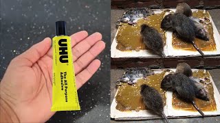 MAGIC GLUE RAT TRAP || Easy Mouse Trap | Home Made | Best Mouse Trap | MR MAKER