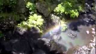 preview picture of video 'Rainbow Waterfall at Millaa Millaa, in Rainforest at Tablelands, Queensland, Australia.'