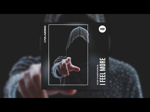 Igor Pumphonia - I Feel More
