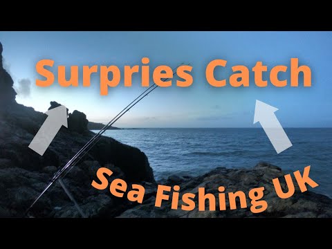Typical February Fishing - One Surprise Catch (Sea Fishing UK)