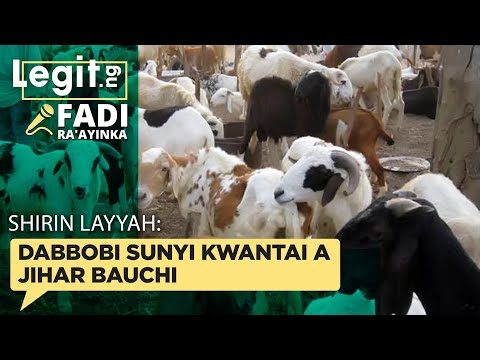 , title : 'Shirin Layya: Dabbobi sun yi kwantai a jihar Bauchi? | Legit TV Hausa'