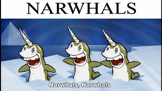 Narwhals Song Is Frying Us Bro