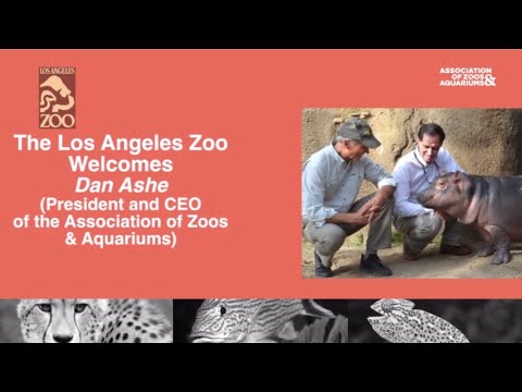 Dan Ashe - President & CEO of the AZA