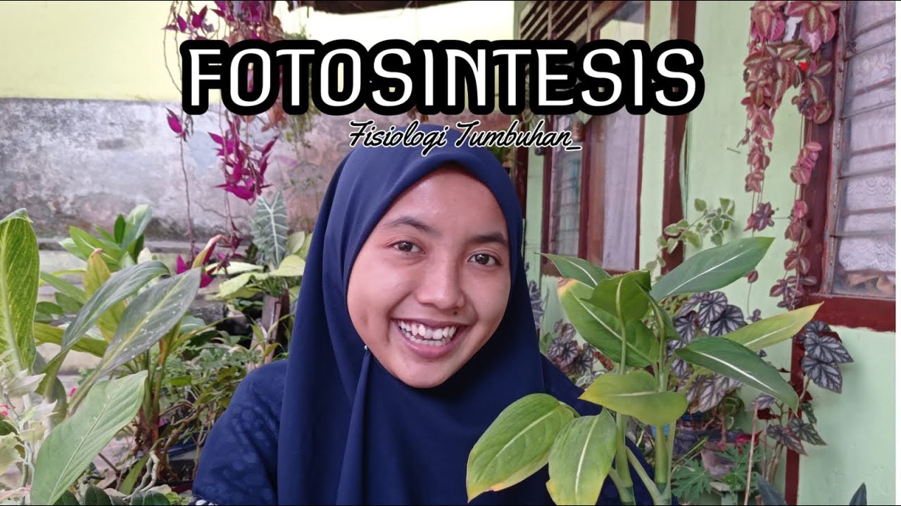 Fotosintesis | Fisiologi Tumbuhan