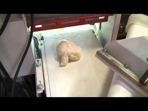video 2, Balancelle 360 pâtons automatique