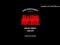 Haibo Richie - So Into You (Remix)