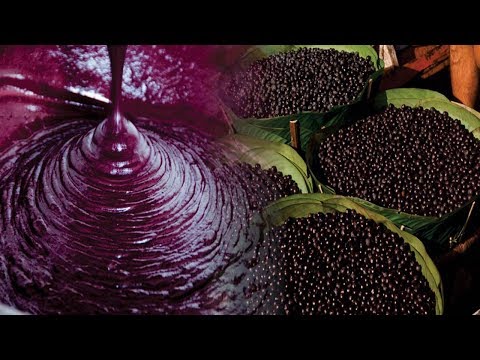 Os 10 Benefícios do Açaí Para Saúde! | Dicas de Saúde